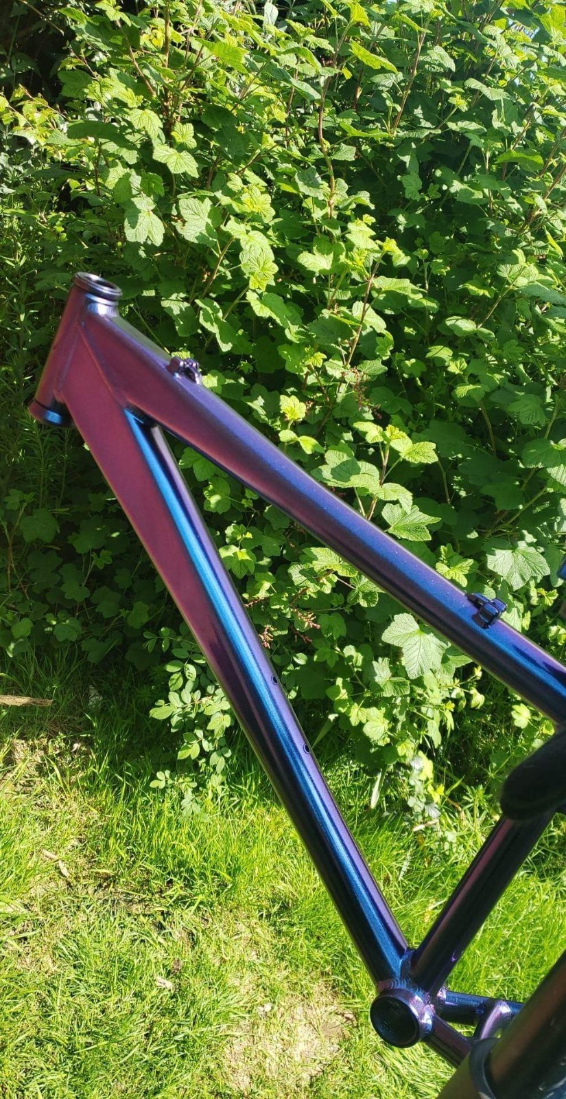 @connodunsfor0 · Colorshift frame